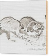 Raccoon Rascals  Clean Food Pond Watercolor  Drawing Wood Print