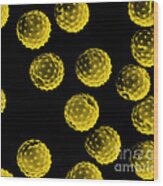 Ragweed Pollen Sem Wood Print