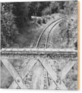 Railway Bridge Wood Print