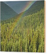 Rainbow And Sunlit Trees Wood Print