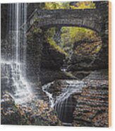 Rainbow Falls Wood Print