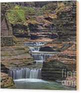 Rainbow Falls Wood Print