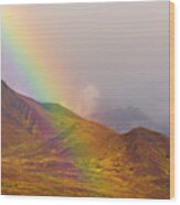 Rainbow Over Fall Tundra In Denali Wood Print