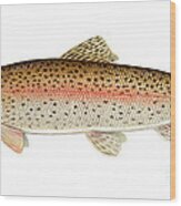 Rainbow Trout Wood Print