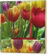 Rainbow Tulip Collage Wood Print