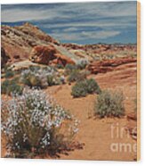 601p Rainbow Vista In The Valley Of Fire Wood Print