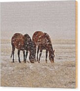 Ranch Horses In Snow Wood Print