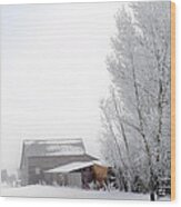 Ranch In Frozen Fog Wood Print