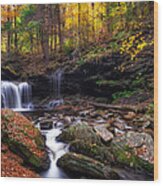 R.b. Ricketts Falls Wood Print