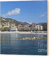 Recco Waterfront Wood Print