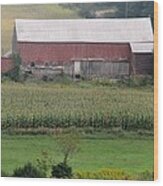 Red Barn On The Hill Wood Print