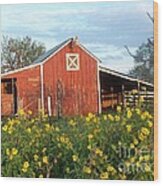 Red Barn With Wild Sunflowers Wood Print