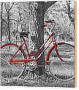 Red Bicycle Wood Print