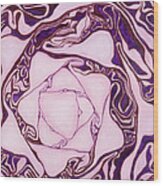 Red Cabbage Wood Print