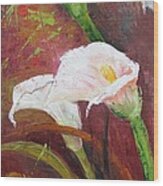 Red Calla Lilies Wood Print