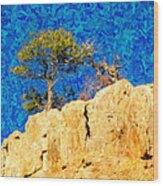 Red Canyon - Dixie National Forest Wood Print