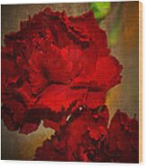 Red Carnations Wood Print