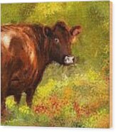 Red Devon Cattle - Red Devon Cattle In A Farm Scene- Cow Art Wood Print