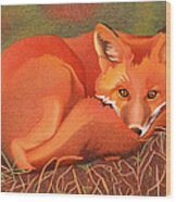 Red Fox Wood Print