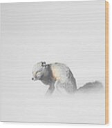 Red Fox In Winter Storm Wood Print