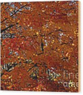 Red Gold Autumn Wood Print