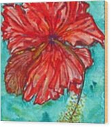 Red Hibiscus Flower Wood Print