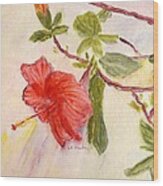 Red Hibiscus Wood Print
