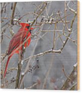 Red Hot In A Snowstorm Wood Print
