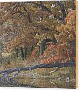 Red Oaks On The Shore Wood Print
