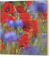 Red Poppies In The Maedow Wood Print