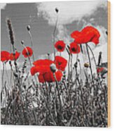 Red Poppies On Black And White Background Wood Print
