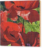 Red Poppies Wood Print