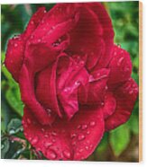 Red Red Rose Wood Print
