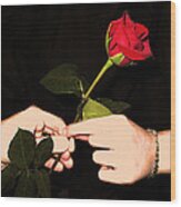 Red Rose By Jan Marvin Studios Wood Print