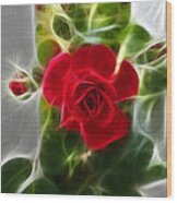 Red Rose Wood Print