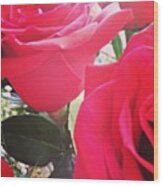 #red #rose #roses #flower #nature #new Wood Print