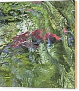 Red Salmon In Steep Creek Wood Print