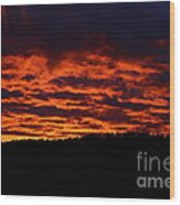 Red Sky In The Morning Wood Print