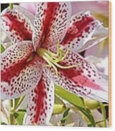 Red Stripes And Spots - Lily Wood Print