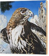 Da141 Red Tailed Hawk By Daniel Adams Wood Print