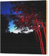 Red Trees Wood Print