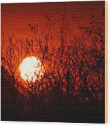 Redorange Sunset Wood Print