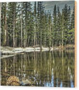 Reflecting Pond Carson Spur Wood Print