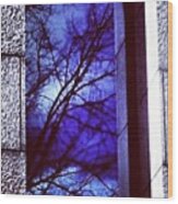 #reflection #window #sky #blue #blues Wood Print