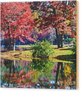 Reflections Of Sherando Wood Print