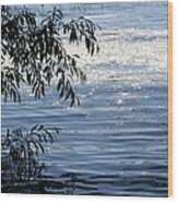 Reflections On The Lake Wood Print
