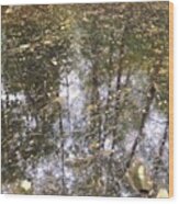 Reflections… #water #pollen #creek Wood Print