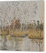 Reifel Bird Sanctuary Vancouver 4 Wood Print