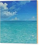 Rendezvous Bay Shower Wood Print