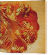 Reproductive System Of A Melon Wood Print